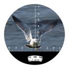 BINOCLU TACTICAL 7X50 CU BUSOLA, WATERPROOF / FLOATING