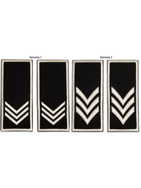 GRADE SEF BIROU COMPARTIMENT POLITIA LOCALA