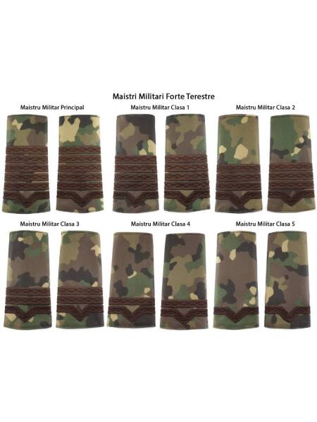 GRADE COMBAT FORTE TERESTRE MAISTRI MILITARI