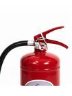 Stingator portativ presurizat permanent cu pulbere ABC P3