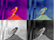 BINOCLU TERMIC PORTABIL GUIDE TN450 / ПОРТАТИВНИЙ ТЕРМОБІНОКУЛЬНИЙ НАВІДНИК TN450