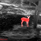 LUNETA TERMICA PENTRU PUSCA GUIDE TU620